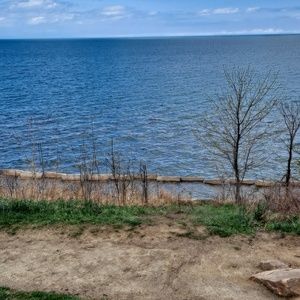 Meet your Posher, Norma